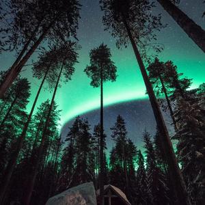 波多野结衣网站www
